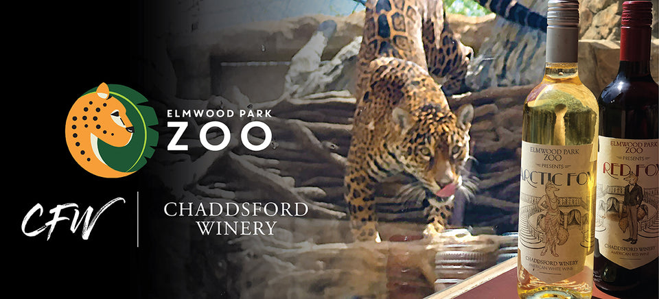 A cheetah eyes down two 750ml bottles of our commemorative wine.