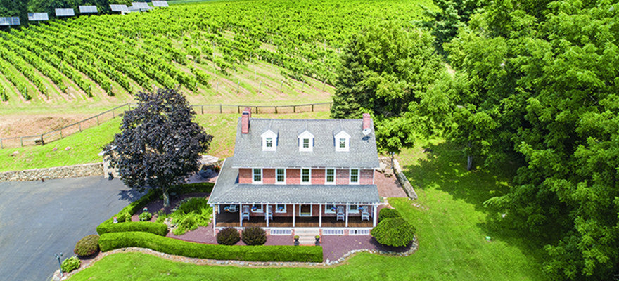 Chaddsford Grower, Historic Hopewell Vineyards, Featured in Grid Magazine
