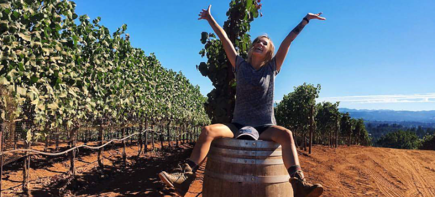 Chaddsford’s Production Assistant Heads to South Africa for Harvest